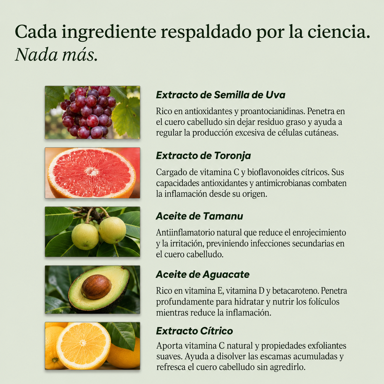 Exfoliante Capilar Natural Drevia