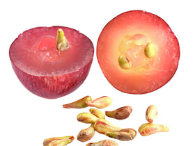 Extracto de Semilla de Uva
